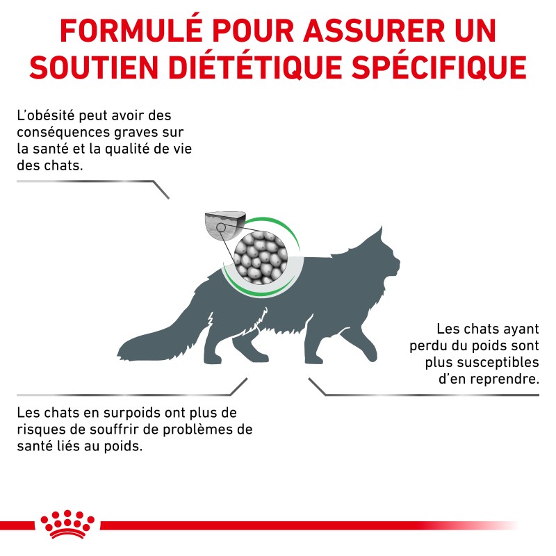Royal Canin Veterinary Health Nutrition Satiety Weight Mgt - croquettes chat