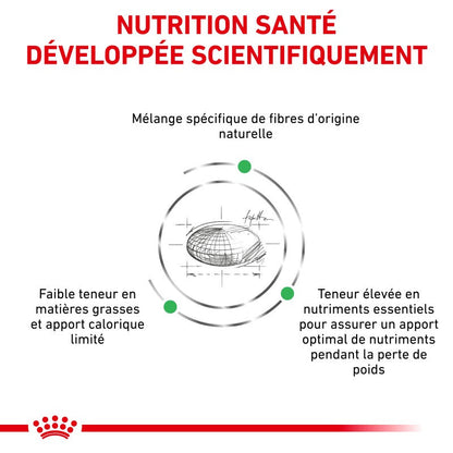 Royal Canin Veterinary Health Nutrition Satiety Weight Mgt - croquettes chat