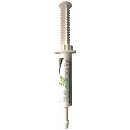 Buccanima gel oral bucco-dentaire chat, chien, lapin, furet