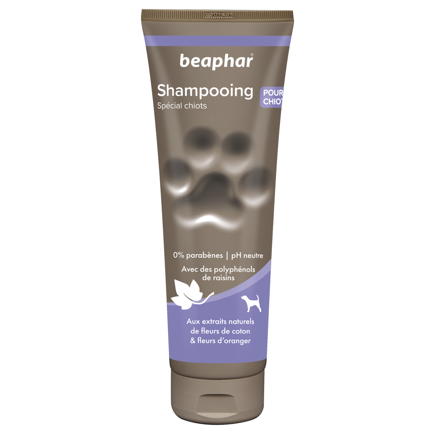 Shampooing spécial chiot