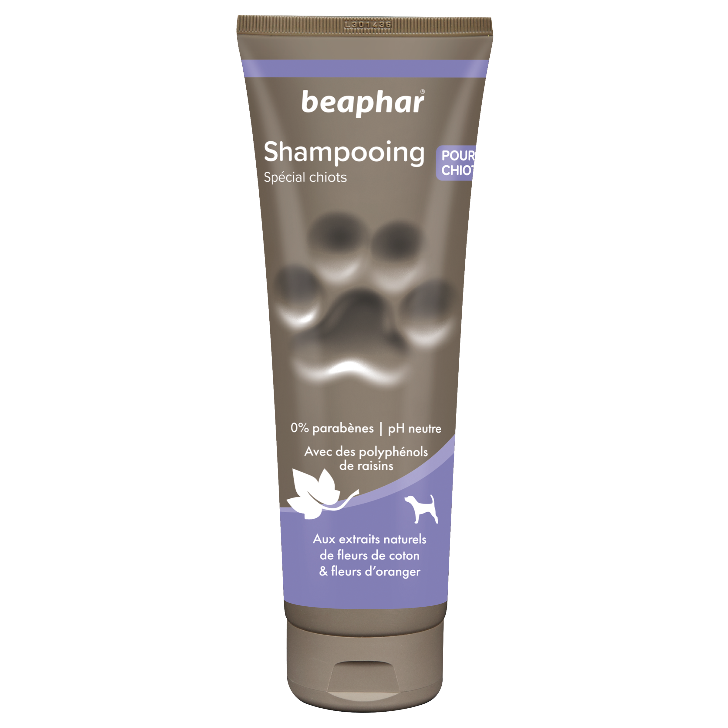 Shampooing spécial chiot