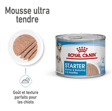 Hn Chien Motherbaby Starter 195g