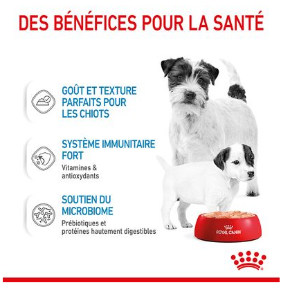 Hn Chien Motherbaby Starter 195g