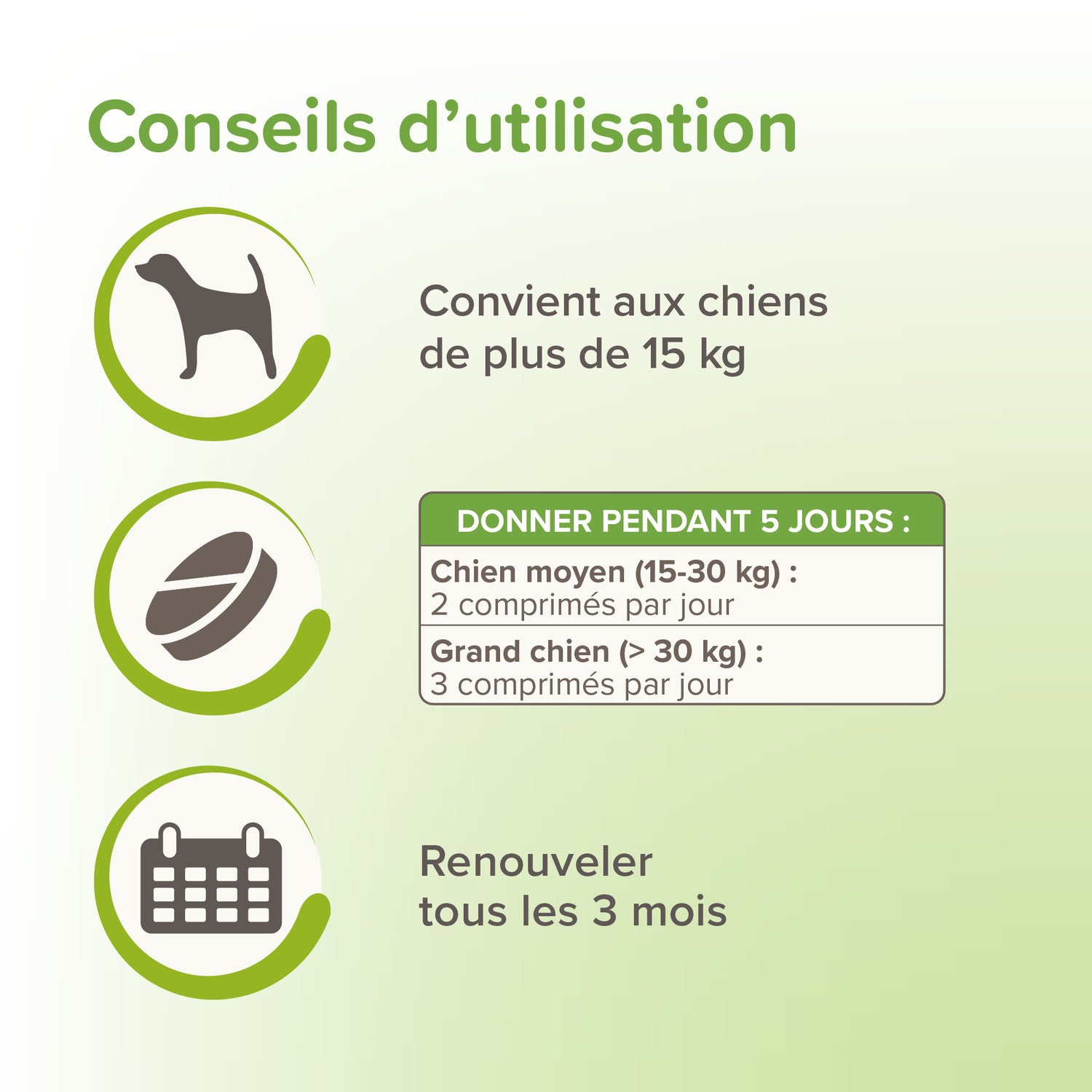 Vermipure comprimés Purge - Grand chien