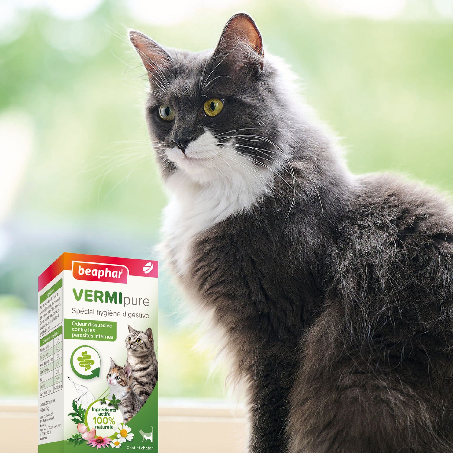Vermipure Comprimés Purge pour chat