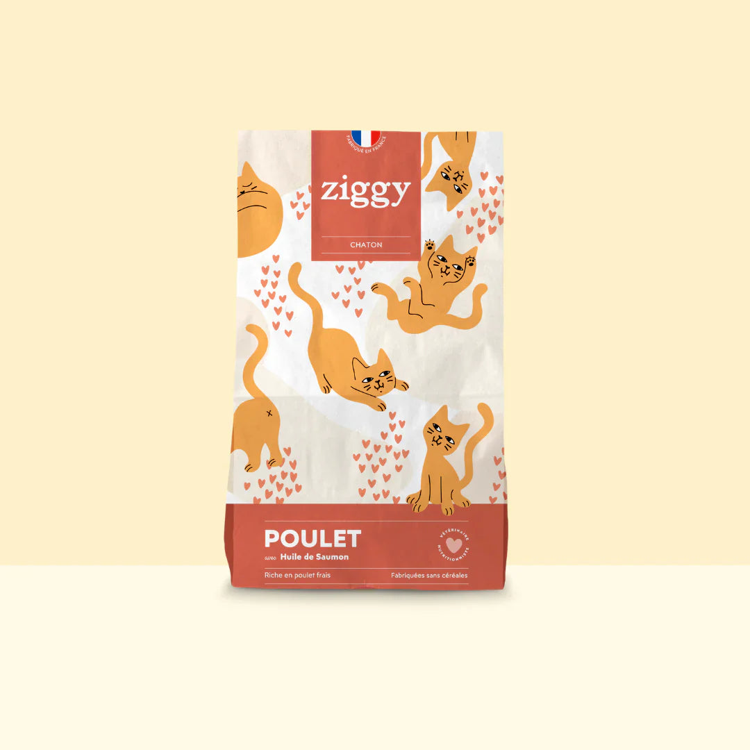 Ziggy poulet - croquettes chaton