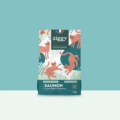 Ziggy Chat Adulte Stérilisé Saumon Croquettes 1kg