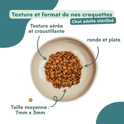 Ziggy Chat Adulte Stérilisé Saumon Croquettes 1kg
