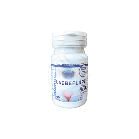 Labbeflore chat, chien