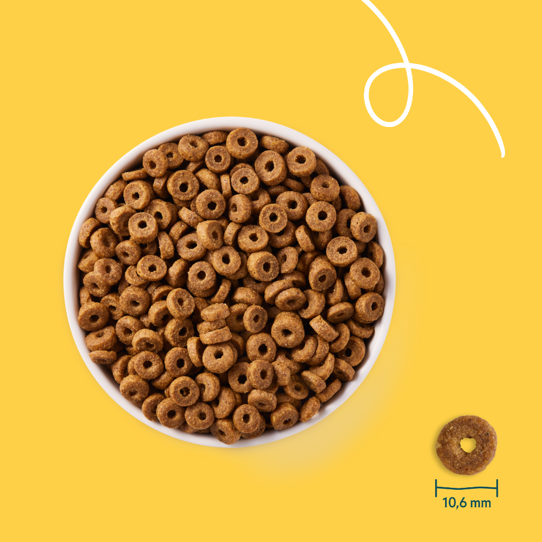 Yarrah bio - croquettes chat