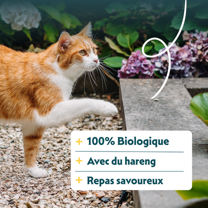 Yarrah bio - croquettes chat