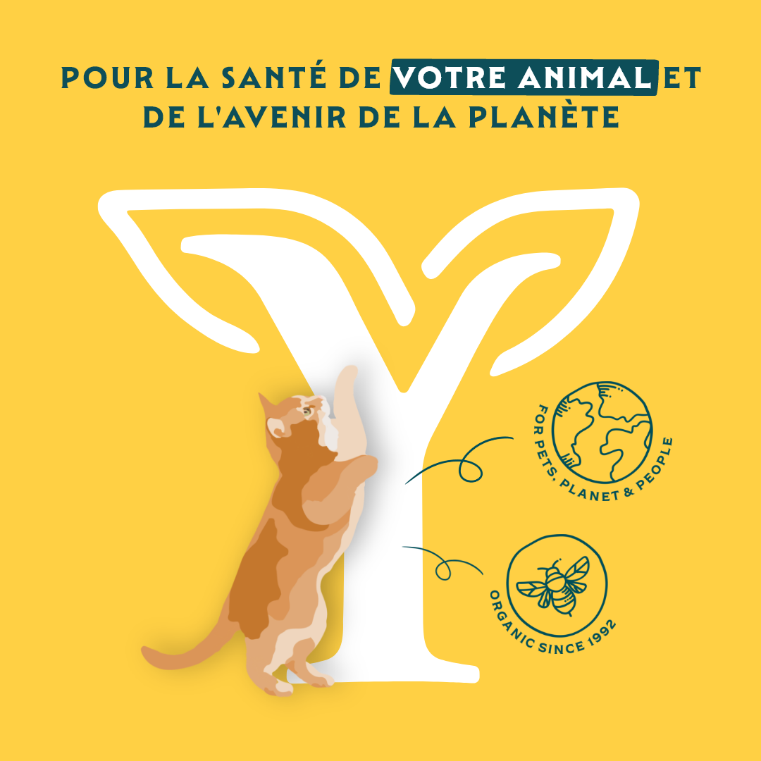 Yarrah bio - croquettes chat