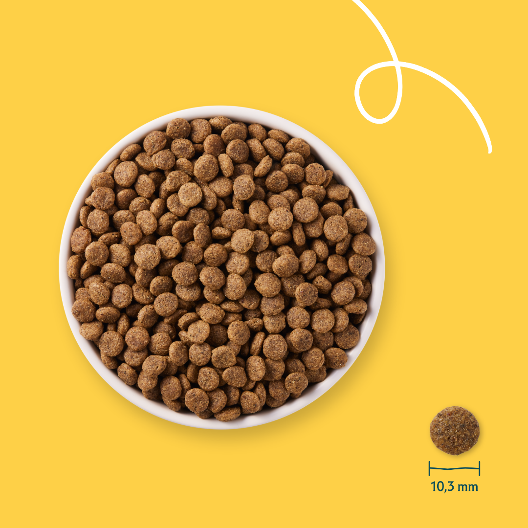 Yarrah croquettes bio sans céréales pour chat adulte