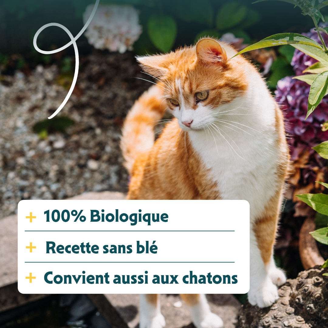 Yarrah croquettes bio sans céréales pour chat adulte
