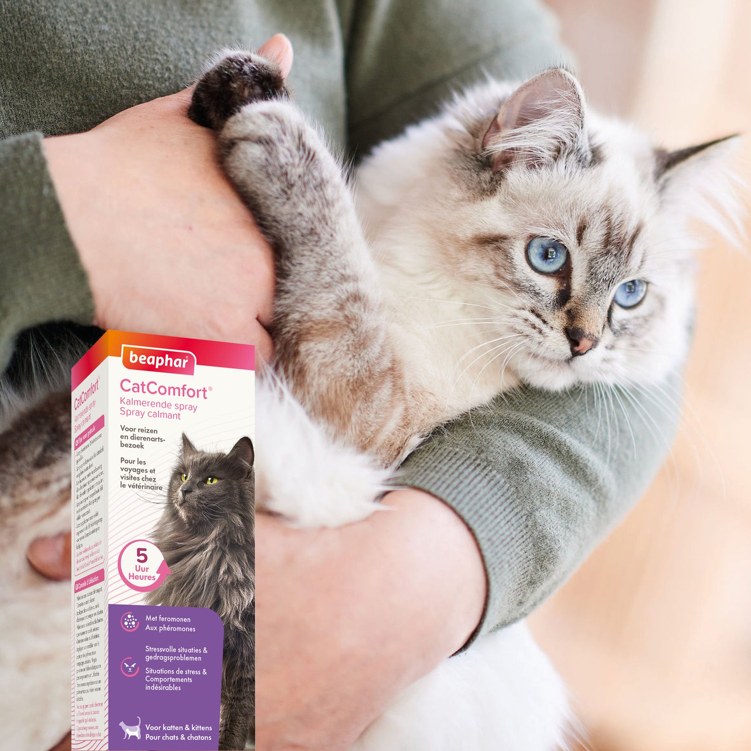 Spray CatComfort® chat, chaton
