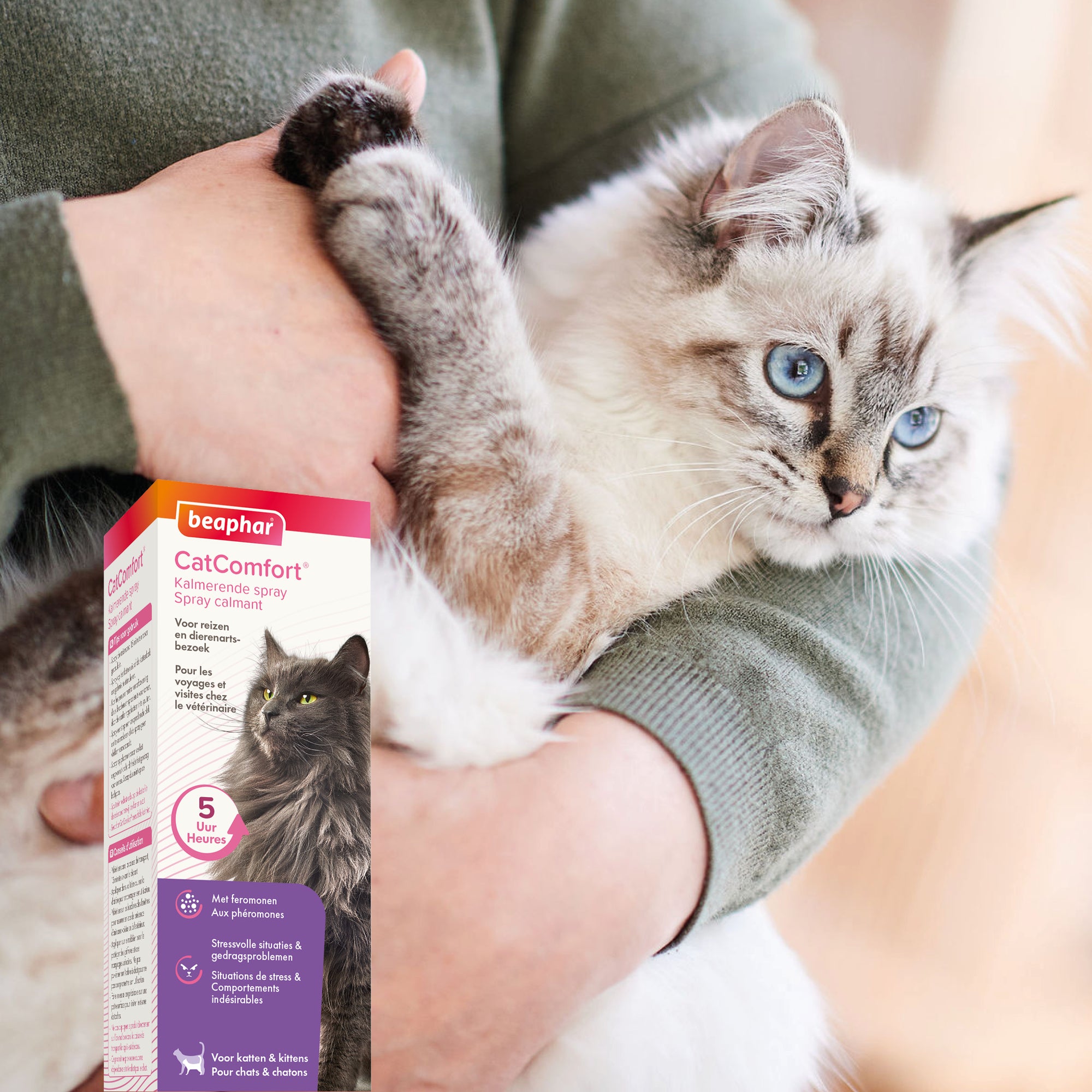 Spray CatComfort® chat, chaton