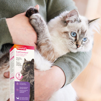 Spray CatComfort® chat, chaton