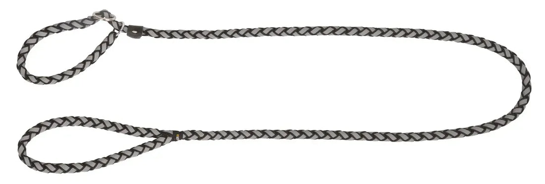 Laisse avec collier intégré réfléchissante