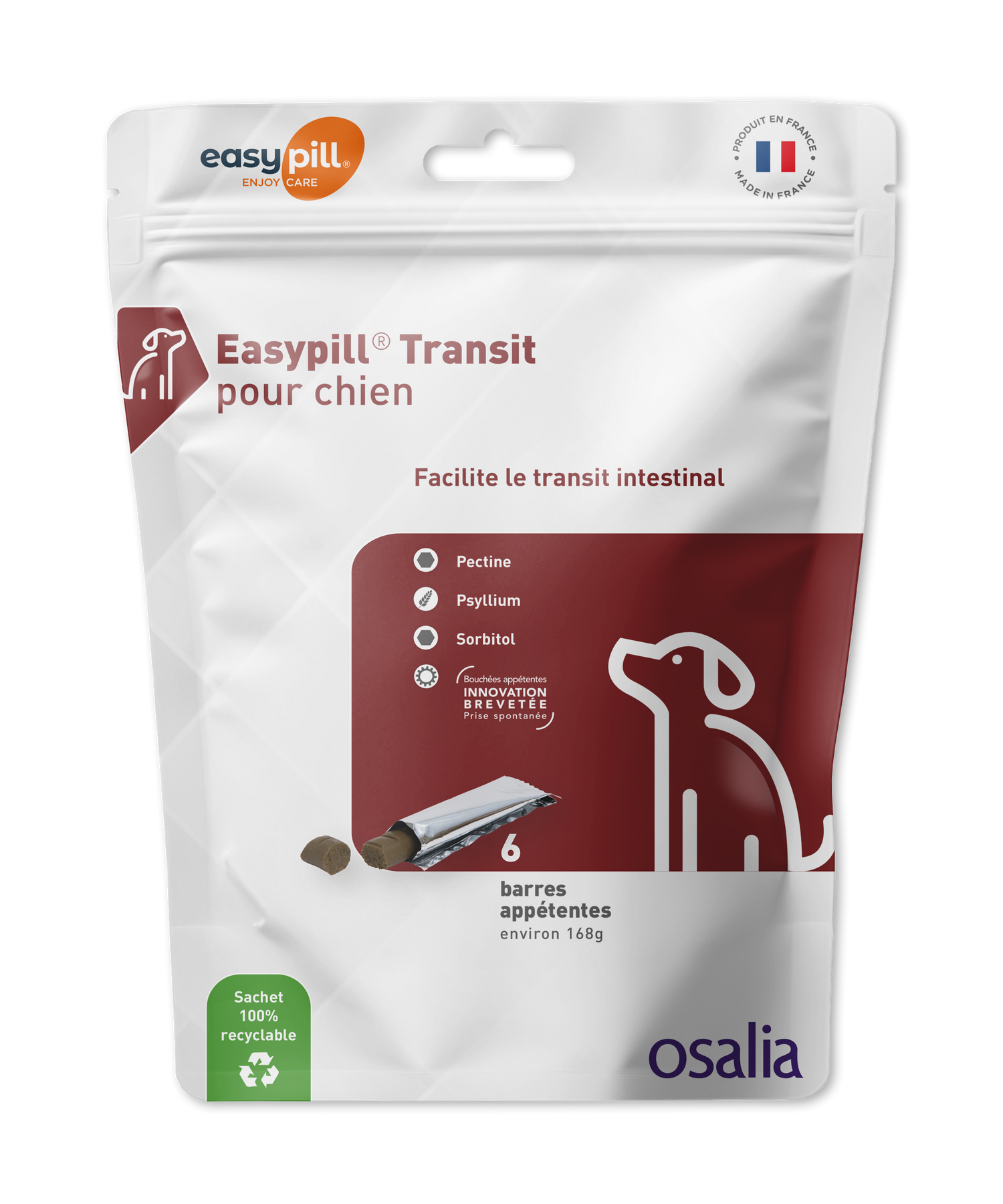 Easypill Transit chien