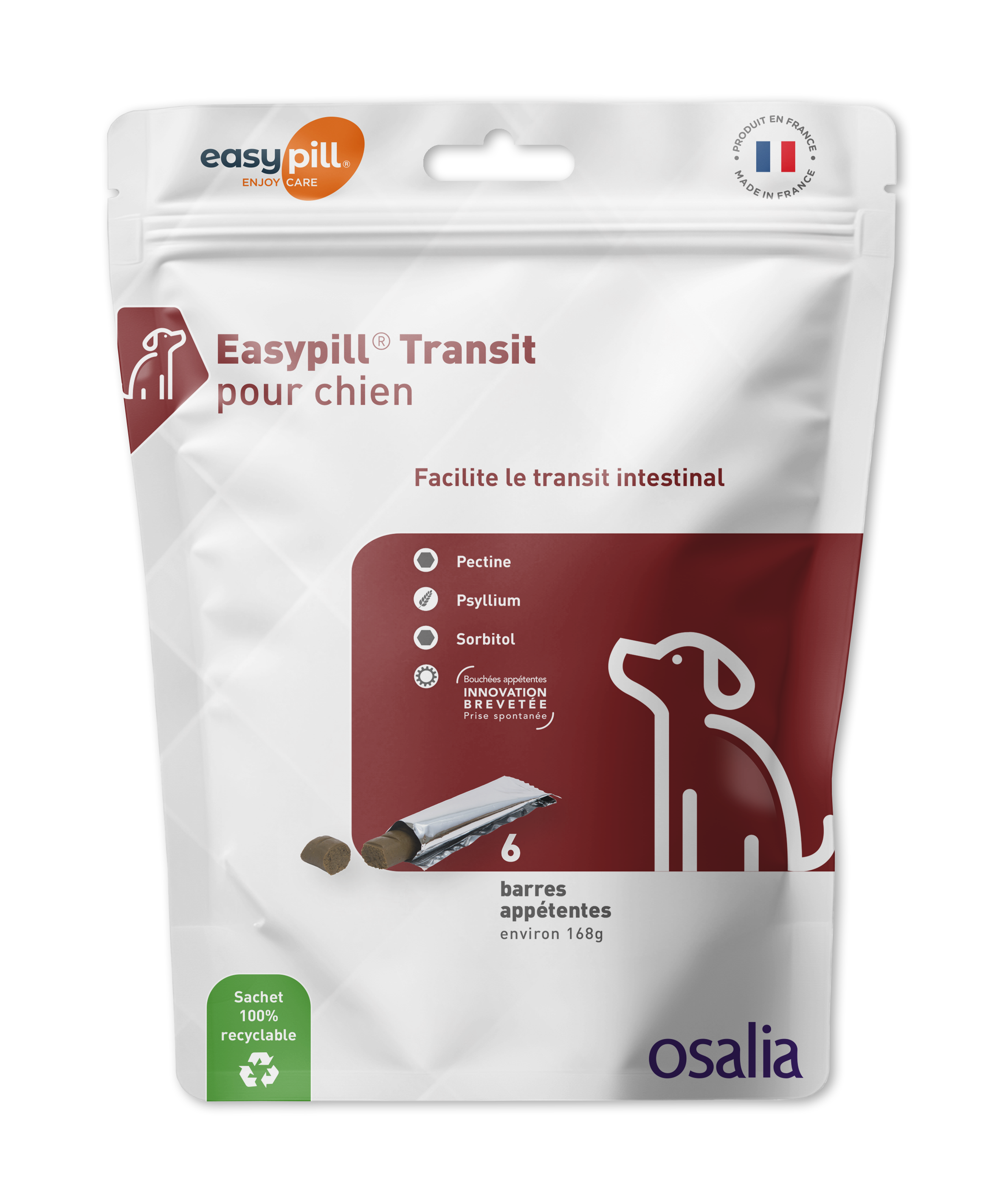 Easypill Transit chien