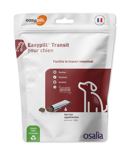 Easypill Transit chien