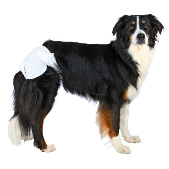 Couche culotte x 12 - Chienne