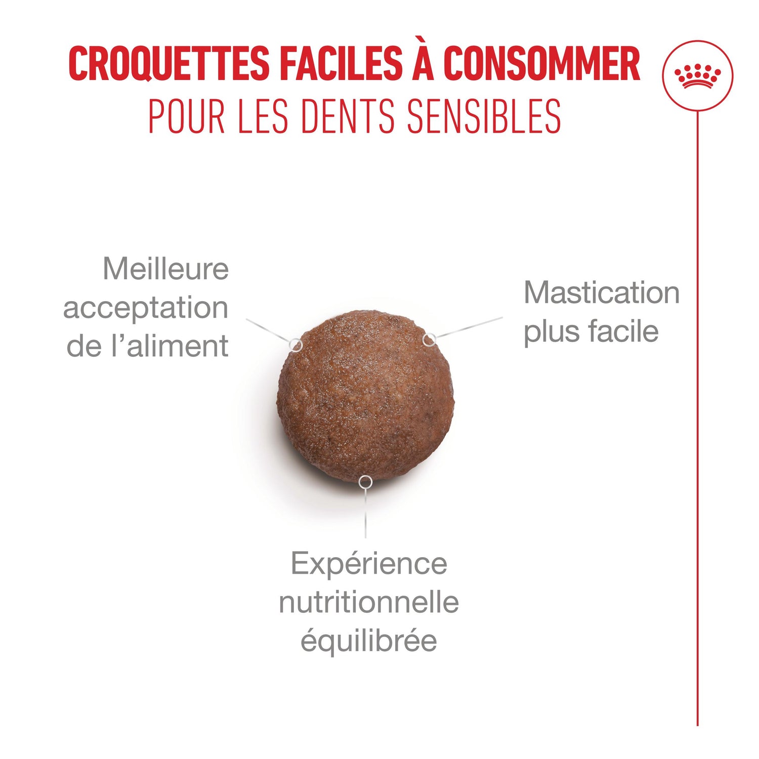 Royal Canin Ageing 11+ - croquettes chat