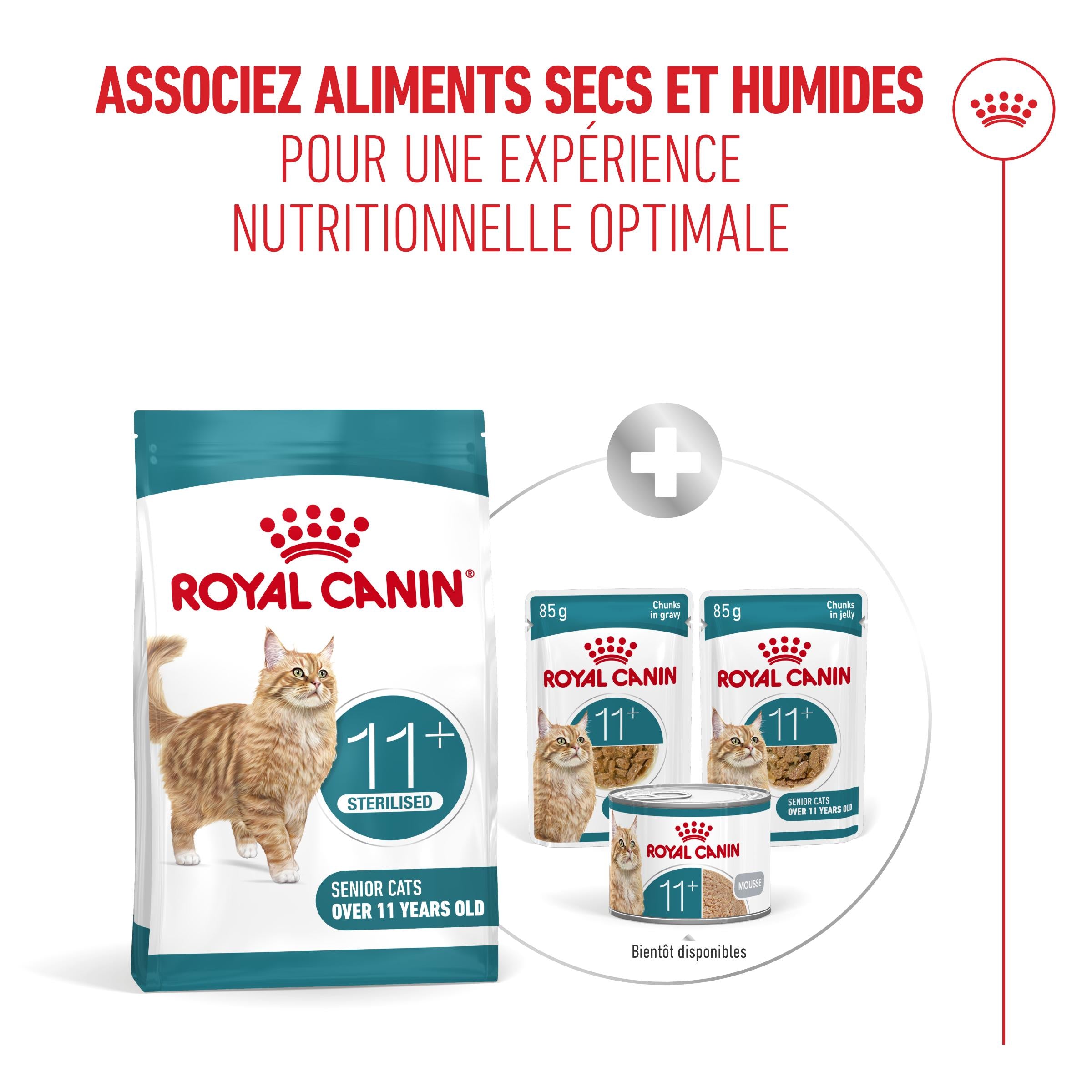 Royal Canin Ageing Sterilised 11+ chat senior