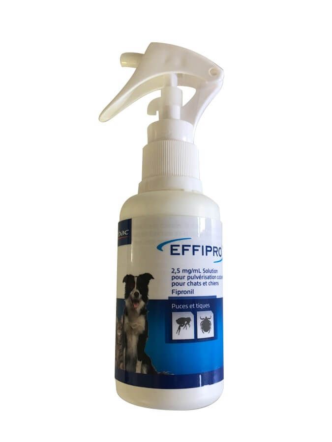 Spray antiparasitaire chat, chien