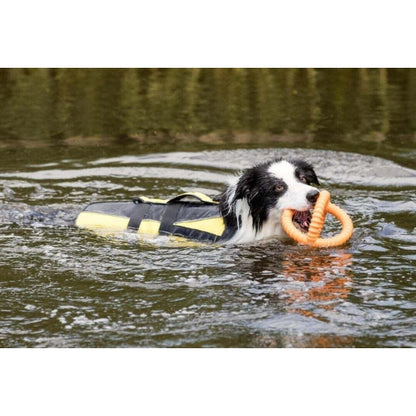 Gilet flottant XL - Chien