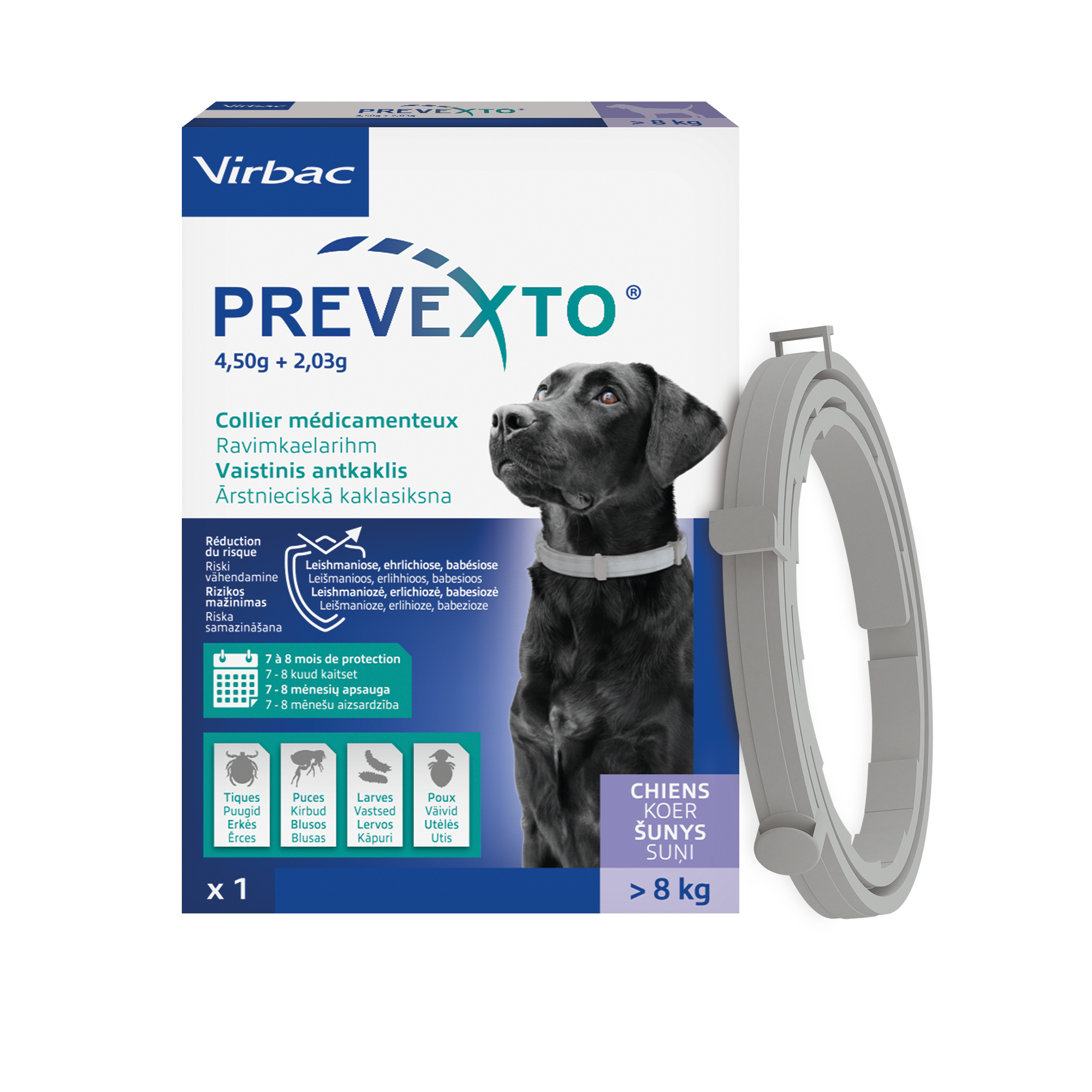 PREVEXTO  collier pour chien