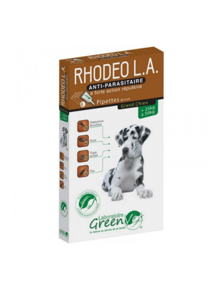 Rhodeo l.a Chien