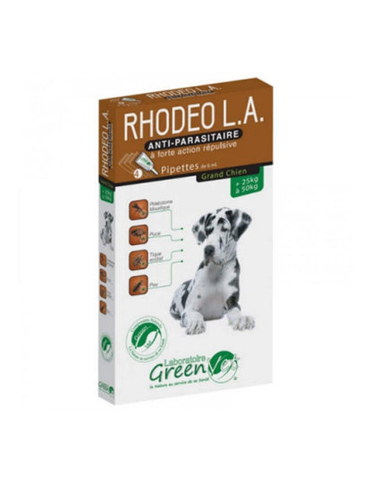 Rhodeo l.a Chien