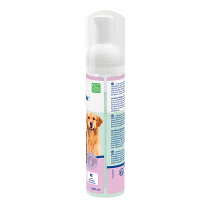 Allerderm Foam