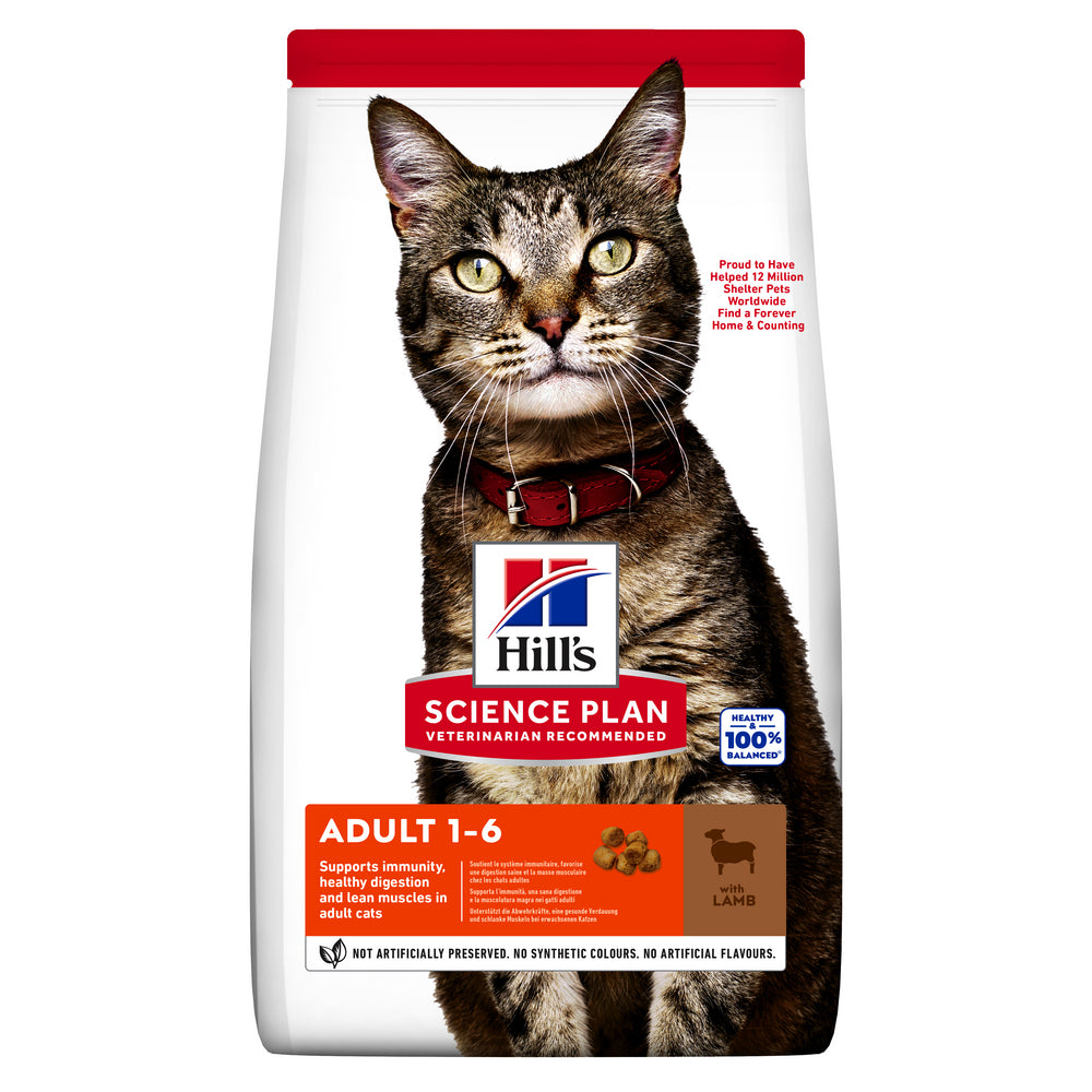 Sp Chat Adult 1-6 Lamb 10kg