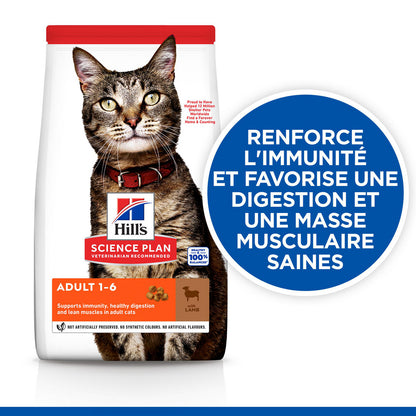 Sp Chat Adult 1-6 Lamb 10kg