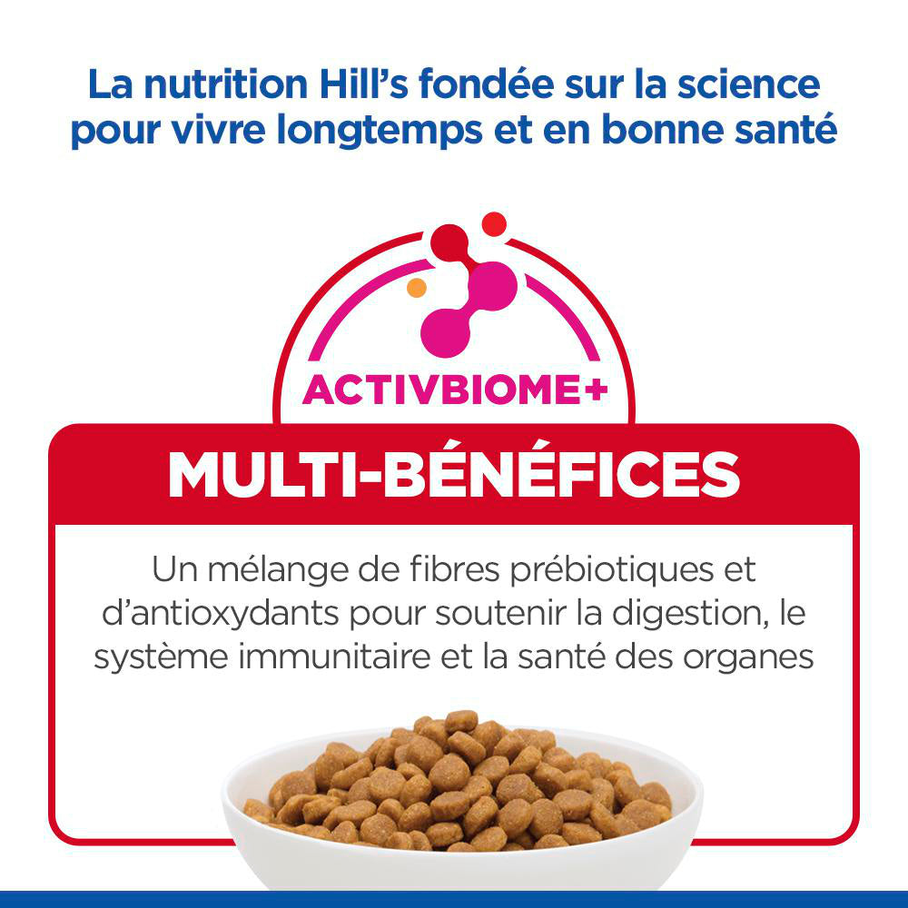 Sp Chien Adulte 1-5 Large Lambrice