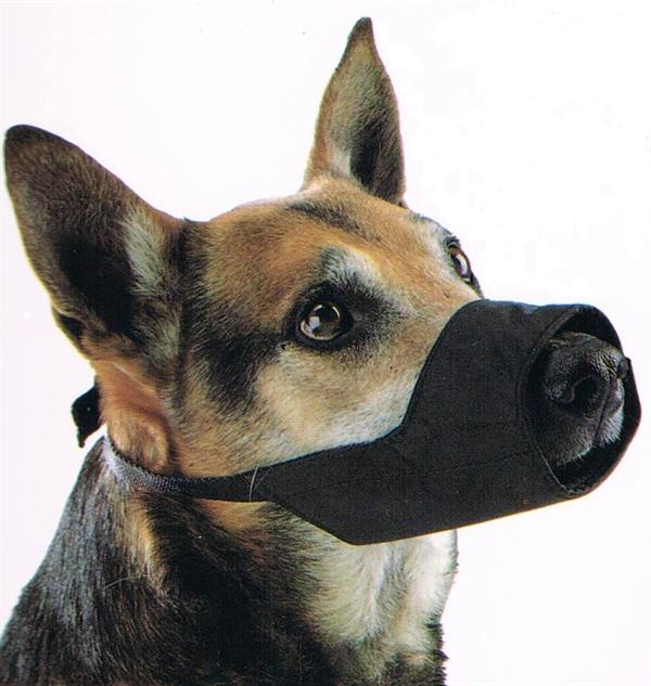 Muselière Nylon Kruuse chien