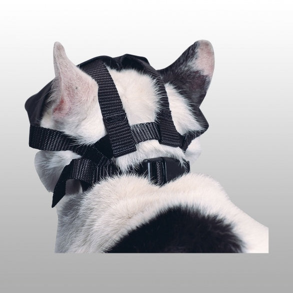 Muselière Nylon Kruuse chat