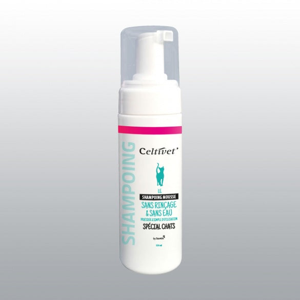 Shampoing sec mousse chat