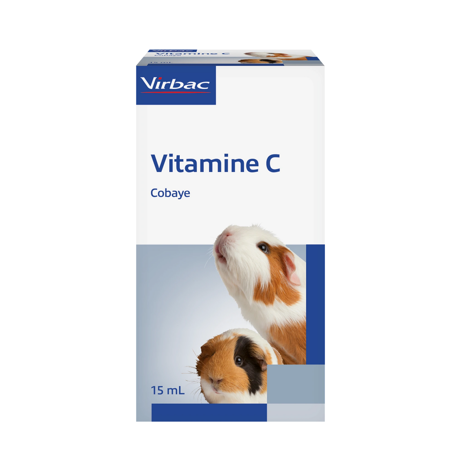 Vitamine C cobaye