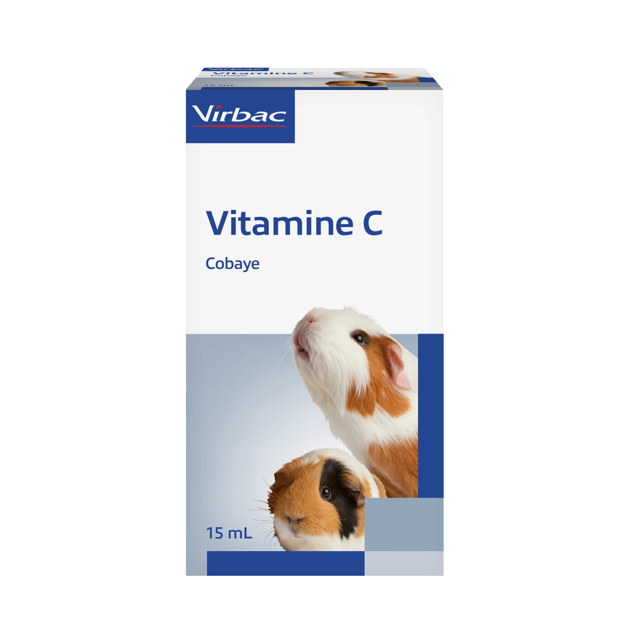 Vitamine C cobaye