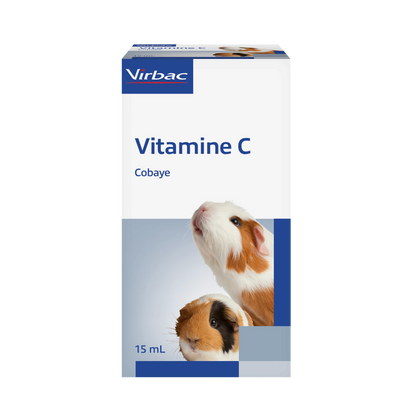 Vitamine C cobaye