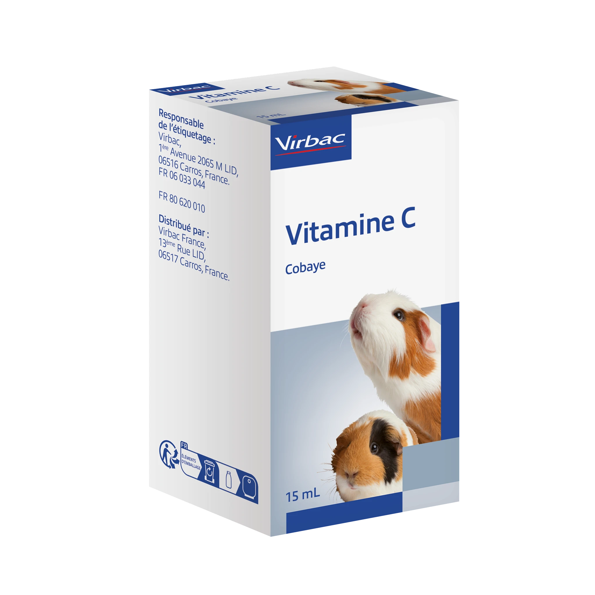 Vitamine C cobaye