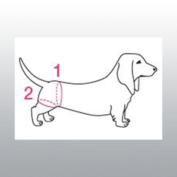 Harnais de maintien handy canis