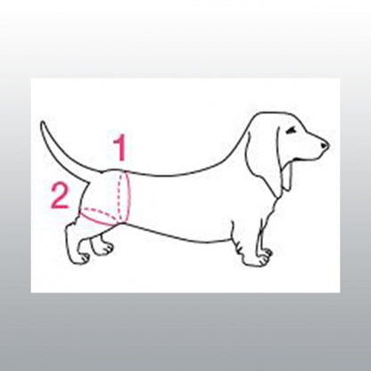 Harnais de maintien handy canis