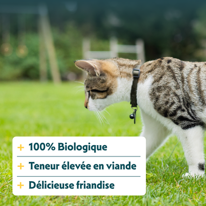 Yarrah sticks à mâcher bio pour chat
