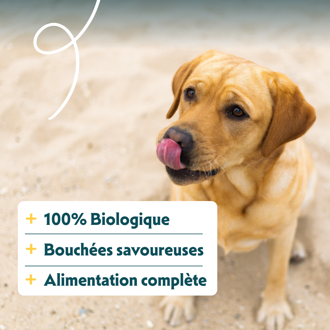 Yarrah bouchées bio Chien - Lot 12 x 405 g