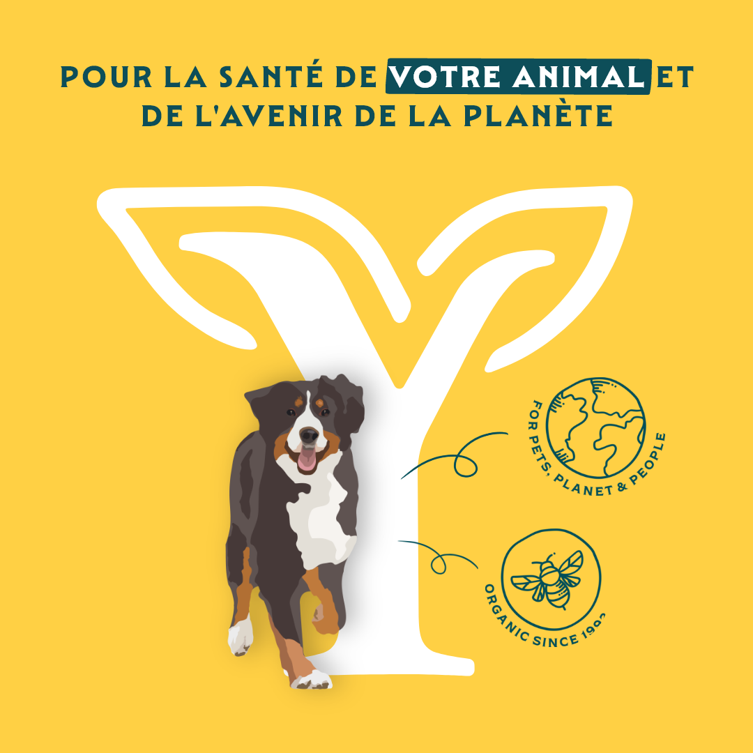 Yarrah bouchées bio Chien - Lot 12 x 405 g