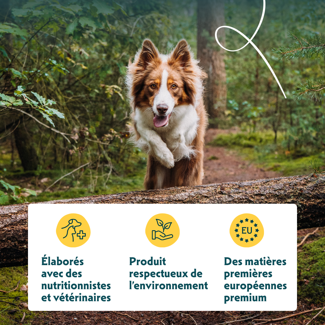 Yarrah bouchées bio - pâtée chien